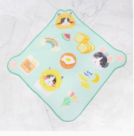 Wat is een magische handdoek?